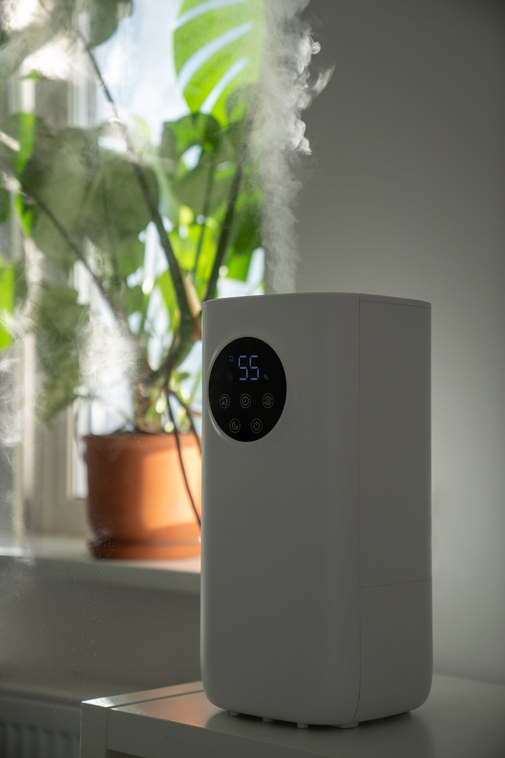 Reap The Benefits of Installing a Whole-House Dehumidifier